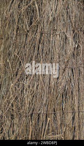 Gartenzaun Rollen mit Heidekraut gebaut. Selektiver Fokus Stockfoto