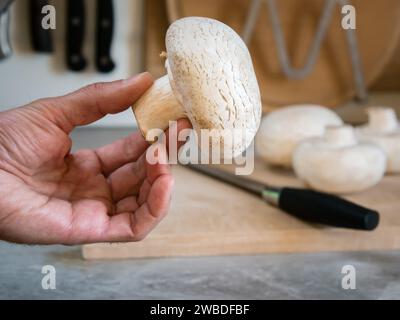 Ein großer weißer Champignonpilz in der Hand eines Mannes auf dem Hintergrund eines Schneidebretts mit einem Messer und anderen Pilzen Stockfoto