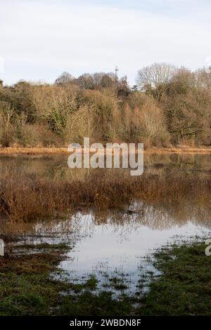 Welches Meadow im Winter, Leamington Spa, Warwickshire, England, Großbritannien Stockfoto