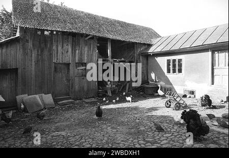 Vrancea County, Rumänien, ca. 1999. Haus mit kleinem Haus und großer Scheune auf einem ländlichen Grundstück. Geflügel, das auf dem geschlossenen Hof herumläuft. Stockfoto