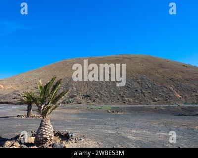 Spektakuläre Ausblicke auf die Feuerberge im Timanfaya Nationalpark, dieser einzigartigen Gegend, die vollständig aus vulkanischen Böden besteht. Lanzarote Stockfoto