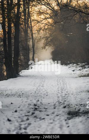 Ein wunderschöner Wlka-Weg oder Laufweg war für Menschen in der Nähe eines Flusses in meiner Heimatstadt Gornja Radgona in Slowenien geeignet. Das Foto wurde im kalten dezember aufgenommen Stockfoto