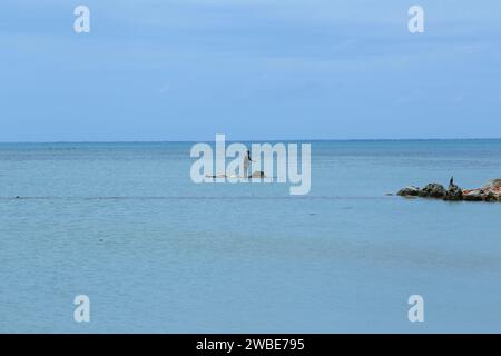 Fisherman fischt allein in der nördlichen Provinz Sri Lankas im Bezirk Jaffna mit einem wunderschönen Blick auf die Küste Stockfoto