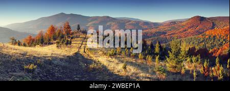 Der Berg Herbst Landschaft mit bunten Wald. Stockfoto