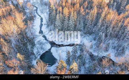 Ein Blick aus der Vogelperspektive auf den Wald mit schneebedeckten Bäumen in Saula, Grafschaft Harju, Estland Stockfoto