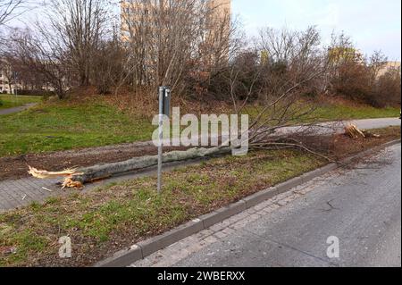 Leipzig - Audi kommt von B87 ab, fallen Baum und kracht in Elektrokasten - ein Schwerverletzter 07.01.2024 gegen 13 Uhr Leipzig, Adenauerallee B87 zu einem schweren Unfall kam es am Sonntagmittag gegen 13 Uhr auf der Adenauerallee B87 in Leipzig. Nach ersten Angaben der Polizei war der Fahrer eines Audis auf der B87 stadteinwärts unterwegs, als er vermutlich aufgrund zu hoher Geschwindigkeit in einer leichten Linkskurve nach rechts abkam, einen dicken Baum am Straßenrand fällte und anschließend gegen einen Elektrokasten knallte. Der Fahrer wurde schwer verletzt und kam mit dem Rettungsdienst in Stockfoto