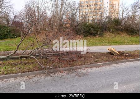 Leipzig - Audi kommt von B87 ab, fallen Baum und kracht in Elektrokasten - ein Schwerverletzter 07.01.2024 gegen 13 Uhr Leipzig, Adenauerallee B87 zu einem schweren Unfall kam es am Sonntagmittag gegen 13 Uhr auf der Adenauerallee B87 in Leipzig. Nach ersten Angaben der Polizei war der Fahrer eines Audis auf der B87 stadteinwärts unterwegs, als er vermutlich aufgrund zu hoher Geschwindigkeit in einer leichten Linkskurve nach rechts abkam, einen dicken Baum am Straßenrand fällte und anschließend gegen einen Elektrokasten knallte. Der Fahrer wurde schwer verletzt und kam mit dem Rettungsdienst in Stockfoto