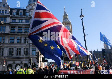 Parliament Square, London, Großbritannien. Januar 2024. Anti-Brexit-Protest gegenüber den Kammern des Parlaments. Quelle: Matthew Chattle/Alamy Live News Stockfoto