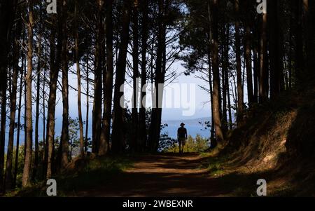 Camino Portugues Coastal Route (portugiesischer Camino) Pilger, die durch Bäume auf dem Weg von Vigo nach Santiago de Compostela, Spanien, wandern Stockfoto