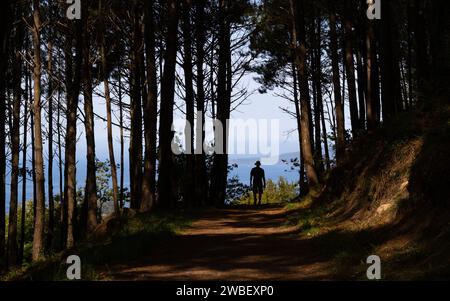 Camino Portugues Coastal Route (portugiesischer Camino) Pilger, die durch Bäume auf dem Weg von Vigo nach Santiago de Compostela, Spanien, wandern Stockfoto