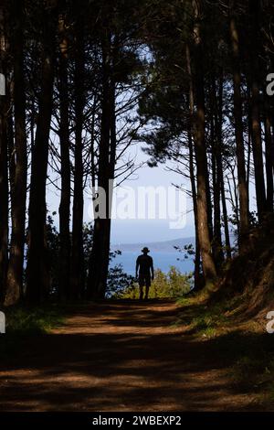 Camino Portugues Coastal Route (portugiesischer Camino) Pilger, die durch Bäume auf dem Weg von Vigo nach Santiago de Compostela, Spanien, wandern Stockfoto