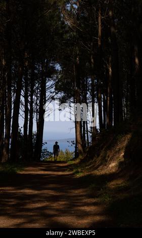 Camino Portugues Coastal Route (portugiesischer Camino) Pilger, die durch Bäume auf dem Weg von Vigo nach Santiago de Compostela, Spanien, wandern Stockfoto