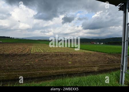 Ein Luftbild eines weitläufigen, üppigen, grünen Feldes, das mit Wasser aus einer Sprinkleranlage bewässert wird Stockfoto