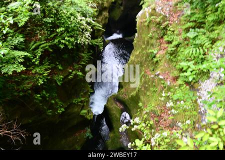 Ein malerischer Blick auf einen Fluss, der sich durch eine üppige und lebhafte Landschaft mit hohen Bäumen und felsigem Gelände schlängelt Stockfoto