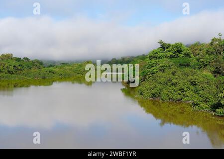 Morgennebel auf dem Amana River, einem Amazonas-Nebenfluss, Bundesstaat Amazonas, Brasilien Stockfoto