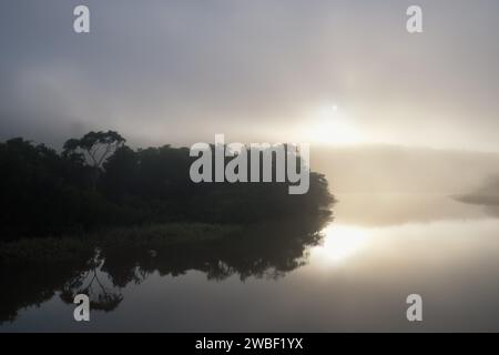 Morgennebel auf dem Amana River, einem Amazonas-Nebenfluss, Bundesstaat Amazonas, Brasilien Stockfoto