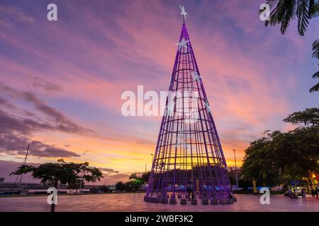 madeira funchal madeira weihnachtsbaum mit modernen LED-Lichtern an einem weihnachtsbaum an der Strandpromenade Funchal Madeira Portugal eu europa Stockfoto