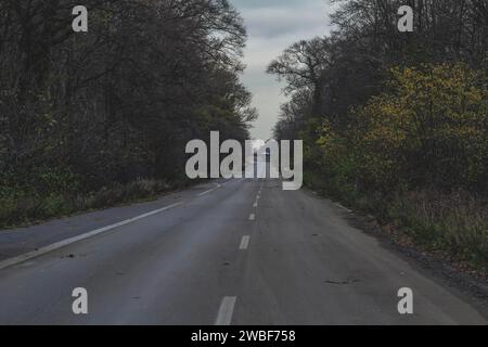 Eine gerade Landstraße, gesäumt von Bäumen und unter grauem Herbsthimmel, verlassene Autobahn A4, Lost Place, Buir, Kerpen, Nordrhein-Westfalen Stockfoto