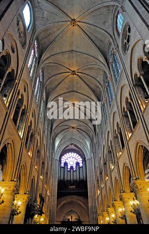 Deckenblick, Kathedrale Notre-Dame de Paris, Ile de la Cite, 4. Arrondissement, Paris, Frankreich Stockfoto