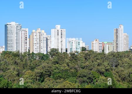Hohe Gebäude hinter einem riesigen grünen Bereich mit Bäumen. Grünes Stadtkonzept. Foto aufgenommen in Sao Paulo - SP, Brasilien. Stockfoto