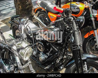 Ein Harley Davidson parkte neben anderen Motorrädern auf einer Stadtstraße unter Bäumen in Paris, Frankreich Stockfoto