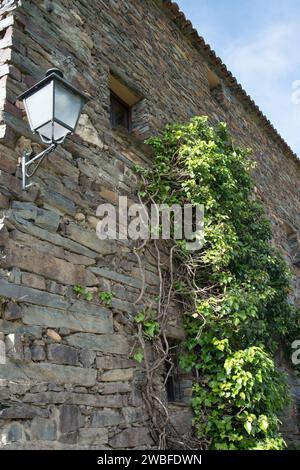 Traditionelles Steinhaus mit Kletterpflanze. Patones de Arriba, Madrid. Spanien Stockfoto