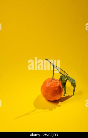 Eine Bilderserie von Orangen aus ökologischem Anbau auf gelbem Hintergrund, im richtigen Licht. Stockfoto