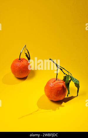 Eine Bilderserie von Orangen aus ökologischem Anbau auf gelbem Hintergrund, im richtigen Licht. Stockfoto