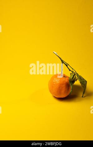 Eine Bilderserie von Orangen aus ökologischem Anbau auf gelbem Hintergrund, im richtigen Licht. Stockfoto