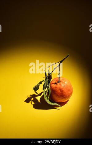 Eine Bilderserie von Orangen aus ökologischem Anbau auf gelbem Hintergrund, im richtigen Licht. Stockfoto