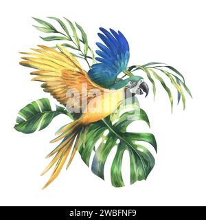 Tropische Palmenblätter, Monstera und Blüten von Plumeria, Hibiskus, hell saftig mit blau-gelbem Ara Papagei. Handgezeichnete botanische Illustrationen mit Aquarellen Stockfoto