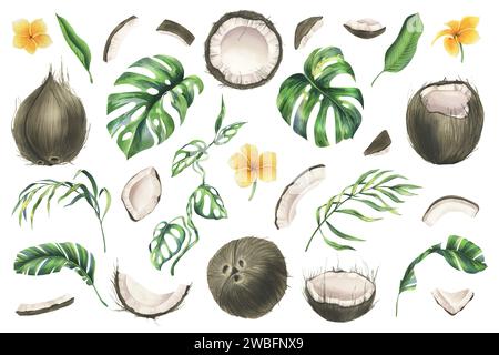 Kokosnüsse ganz, Hälften und Stücke mit hellen, grünen, tropischen Palmenblättern und gelben Plumerieblättern. Handgezeichnete Aquarellillustration. Satz von Stockfoto