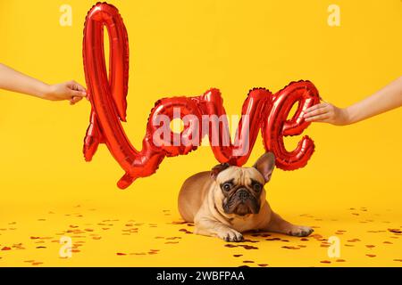 Niedliche französische Bulldogge und weibliche Hände mit Ballon in Form von Wort LIEBE auf gelbem Hintergrund. Valentinstag-Feier Stockfoto