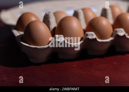 Konzeptuelles Bild von einem Dutzend brauner Eier, aufgenommen mit rotem Vinylhintergrund mit Textur in Studioumgebung Stockfoto