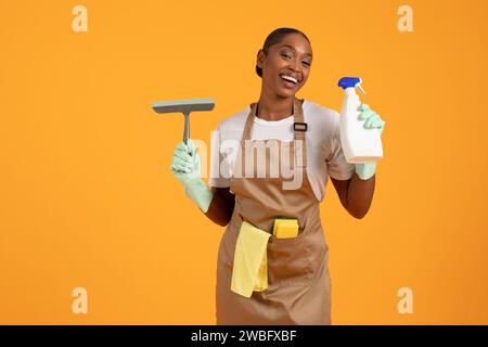 Schwarze Frau hält Bürste für Fensterreinigung und Waschmittel, Studio Stockfoto