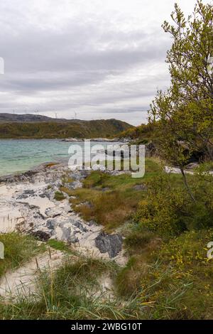 Am Ufer am Meer, Sandstrand mit Grillplatz auf Sommarøy am Nordatlantik. Bootshaus auf den Inseln von Kvaløya. Urlaubsreisen Stockfoto