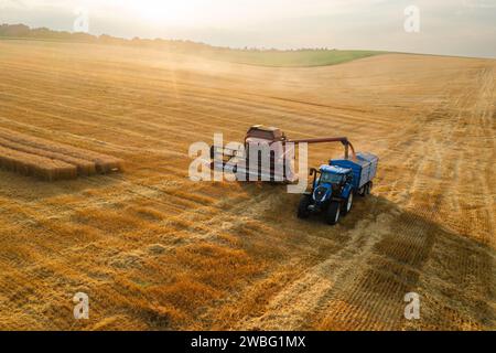 Moderne Mähdrescher beladen einen Traktoranhänger effizient mit goldenen Weizenkörnern auf einem staubigen landwirtschaftlichen Feld. Modernste Maschinen übernehmen nahtlos die Verarbeitung und den Transport der reichlich vorhandenen Getreideernte. Stockfoto