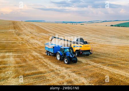 Erntemaschine, die Weizenkörner geschickt in einen Traktoranhänger einlagert, inmitten einer staubigen Plantage. Wenn die Sonne untergeht, entlädt ein Mähdrescher das gesammelte Getreide. Stockfoto