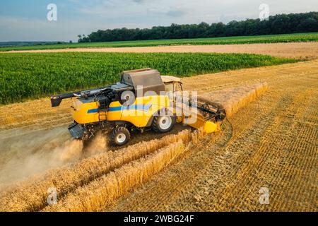 Der Mähdrescher erntet Getreide und fährt an goldenem Weizen in der Feldansicht vorbei. Maschine sammelt reife Gerste, die in der Dämmerung auf dem Land arbeitet Stockfoto
