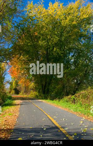 Trail, Norwottuck Rail Trail State Park, Massachusetts Stockfoto