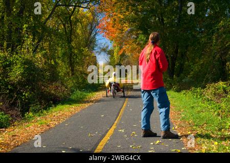 Walker on Trail, Norwottuck Rail Trail State Park, Massachusetts Stockfoto