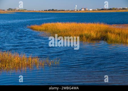 Mündung Gräser, Salisbury Beach State Park, Massachusetts Stockfoto