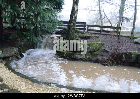 Japanischer Garten am nebligen 2. Januar im Craigtoun Country Park, St. Andrews Stockfoto