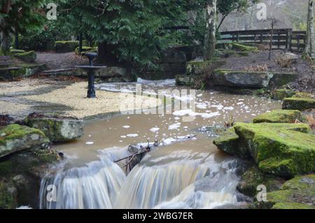 Japanischer Garten am nebligen 2. Januar im Craigtoun Country Park, St. Andrews Stockfoto