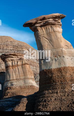 Sandsteinsäulen mit Steinkappen, Willow Creek Hoodoos Drumheller Alberta Canada Stockfoto