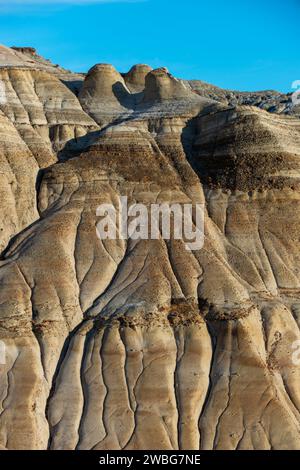 Sandsteinsäulen mit Steinkappen, Willow Creek Hoodoos Drumheller Alberta Canada Stockfoto