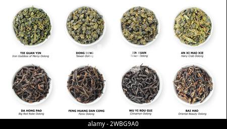Sammlung chinesischer Oolong-Tees, lose trocknende Blätter in Schüsseln, Blick von oben isoliert auf weiß Stockfoto
