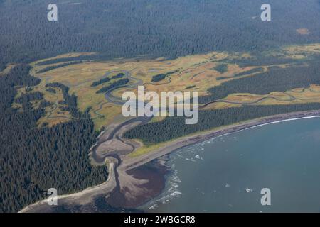 Ein Blick aus der Vogelperspektive zeigt einen Fluss, der sich durch einen Wald schlängelt und in den Ozean mündet, und zeigt die natürliche Schönheit und die ökologischen Prozesse der Landschaft. Stockfoto