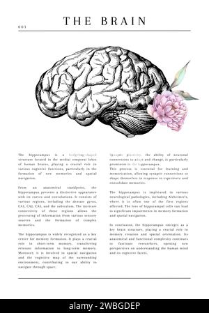 20 digitale anatomische medizinische Illustrationen mit Beschreibung und Blumen Stockfoto