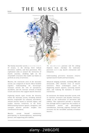 20 digitale anatomische medizinische Illustrationen mit Beschreibung und Blumen Stockfoto